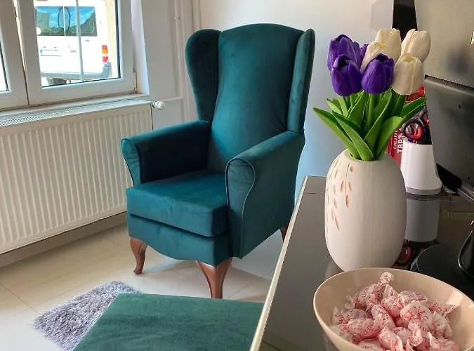 Apartment Night-knight Smederevo