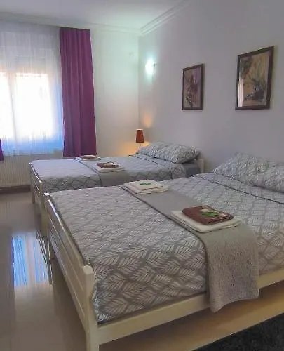 Night-knight Apartment Smederevo