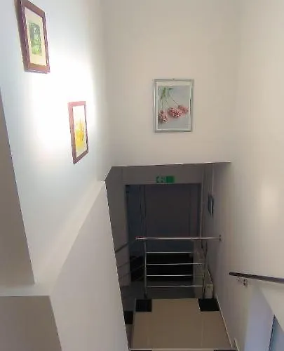 Night-knight Smederevo