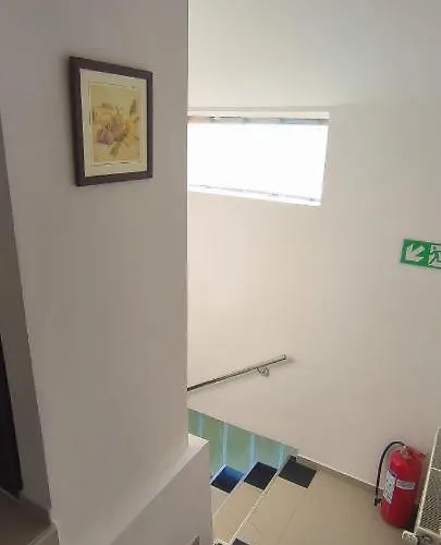 Night-knight Smederevo